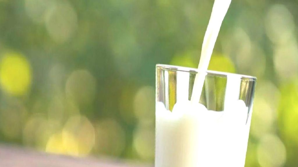 1 litre çiğ süt ne kadar oldu, çiğ süte ne kadar zam geldi? (2023)