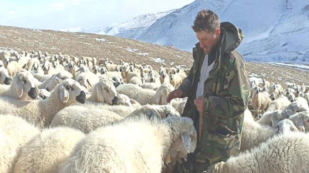 Sivaslı çoban Tarık Kara yanık sesiyle büyüledi