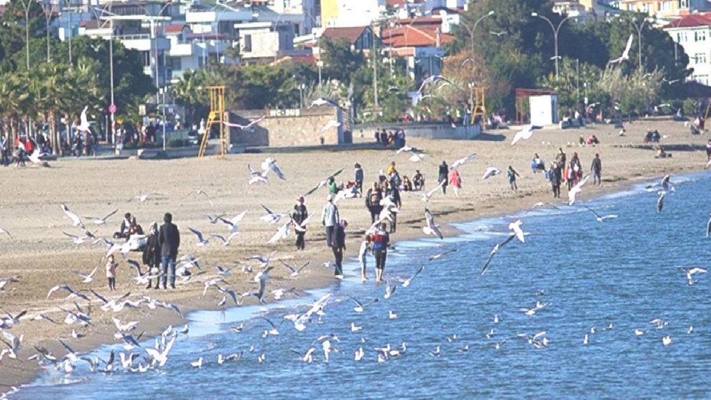 Türkiye son 52 yılın en sıcak aralık ayını yaşadı