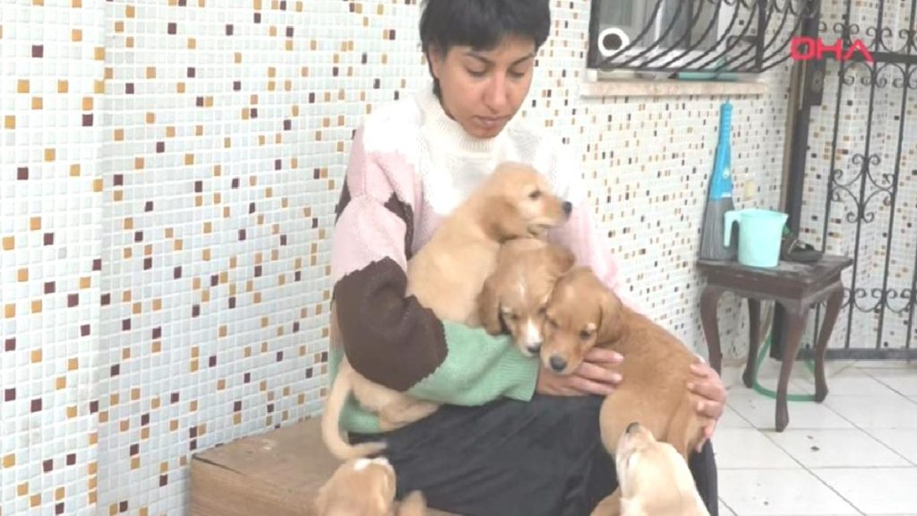 İskenderun’da hasar gören evinde 8 köpeği bırakmadı