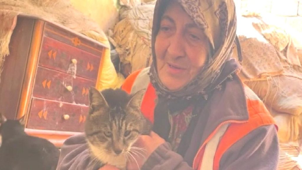 Kahramanmaraş’ta 7 kedisi için hasarlı evde yaşıyor