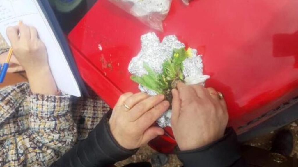Amasya’da bitki çalan Slovakyalı 2 turist yakalandı