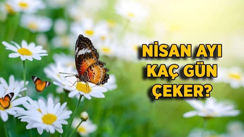 Nisan ayı kaç gün? 2023 Nisan Nisan ayı kaç çeker? Nisan 30 gün mü 31 gün mü?