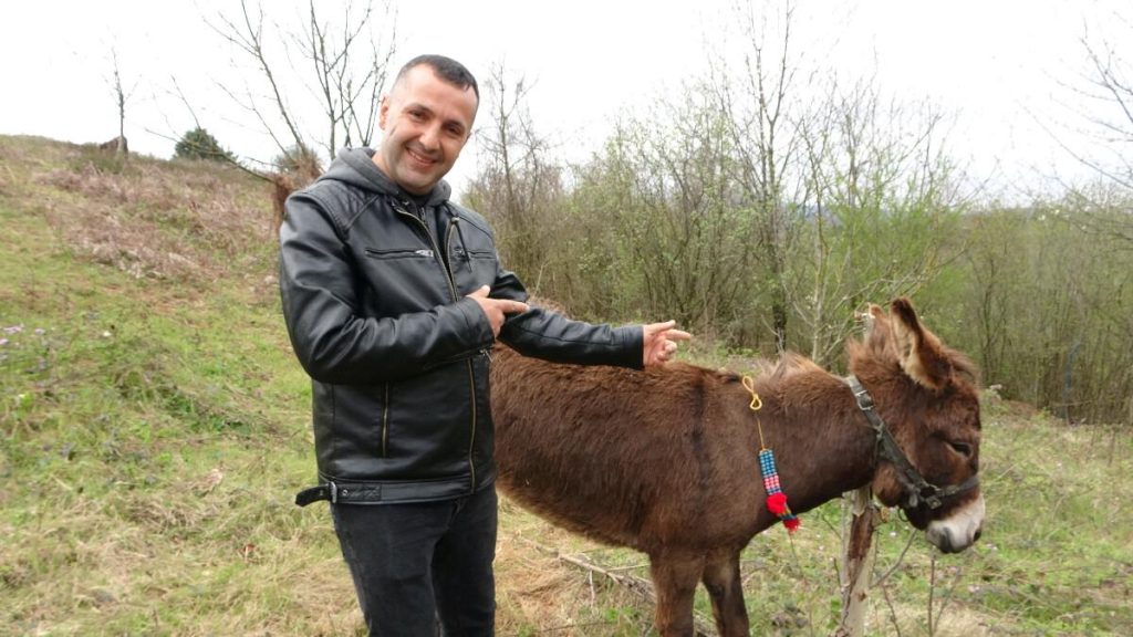 Pendik’te satılık eşek ilanını görenler ‘ekspertiz raporu var mı’ diye soruyor