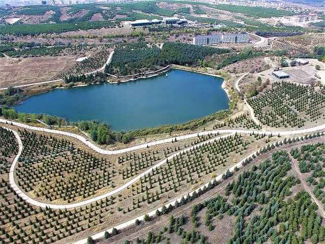 Türkiye Milli Botanik Bahçesi Ziyaret Rehberi